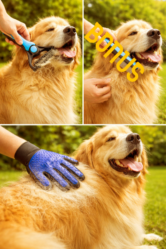 PetGroom Set 2+1 – Perie & mănușă cu pieptăn CADOU