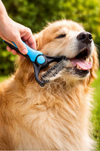 PetGroom Set 2+1 – Perie & mănușă cu pieptăn CADOU